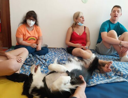 Pet Therapy con i cani